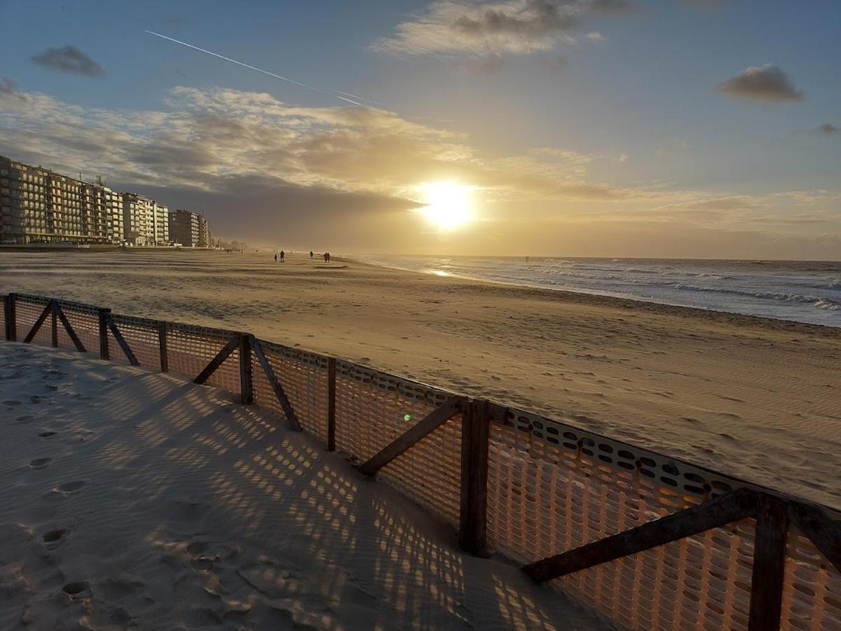 Appartement Met Zeezicht En Verwarmd Zwembad Ostende Exteriér fotografie
